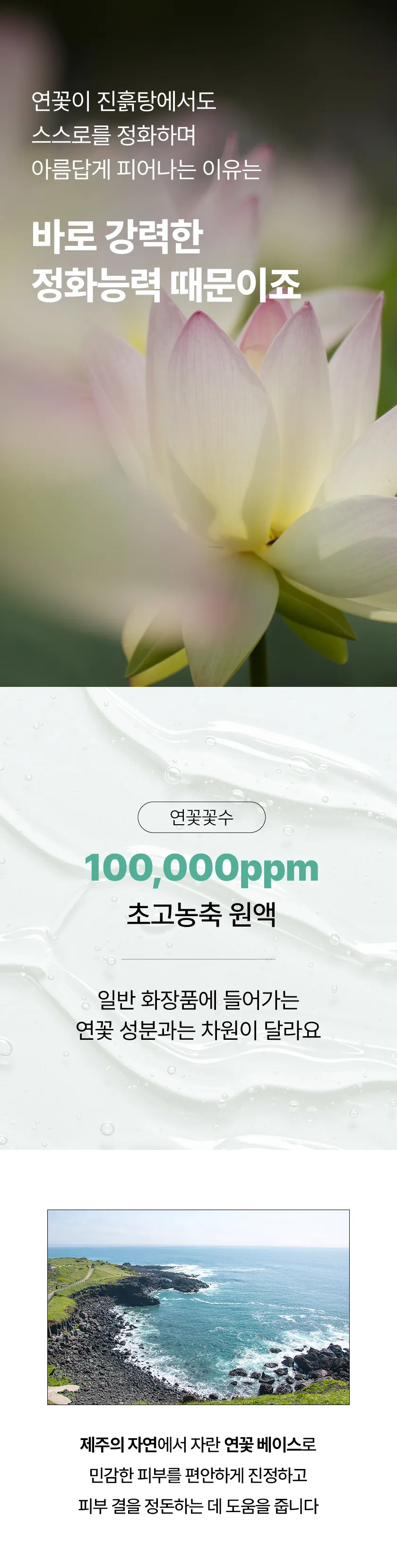 로터스 트러블 케어 패드 미니 상세 이미지 24