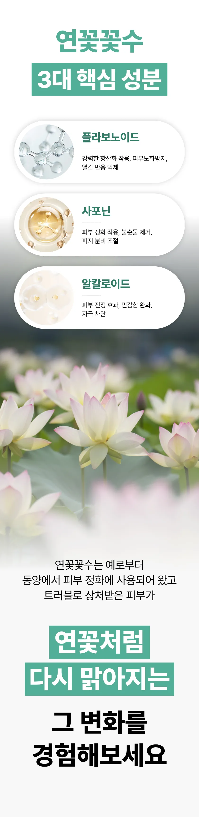 로터스 트러블 케어 패드 미니 상세 이미지 31